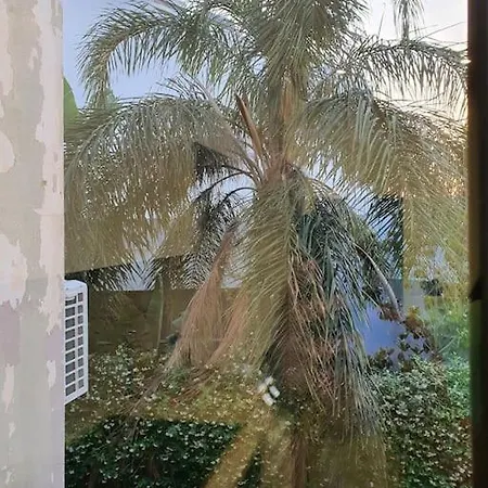 Daire Livas Relaxing İstanköy